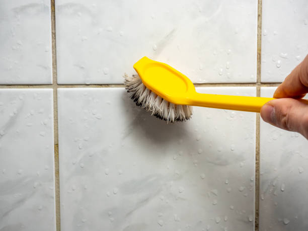  Parkwood, CA Mold Removal Pros