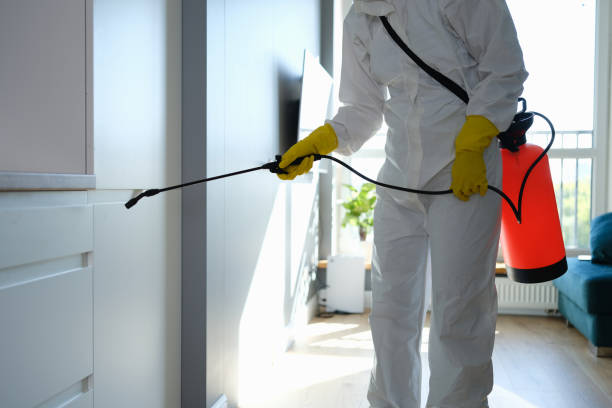 Best Residential Mold Removal  in Parkwood, CA