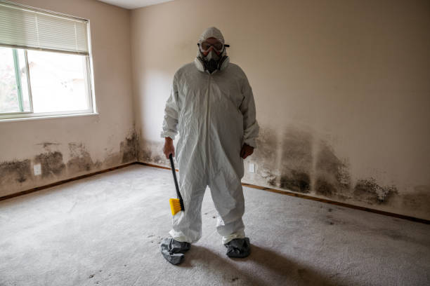 Best Fast Mold Removal  in Parkwood, CA